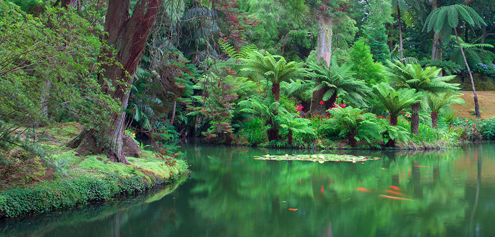 Image with missing alt attribute found on save70.com