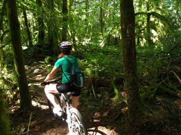 Image with missing alt attribute found on save70.com