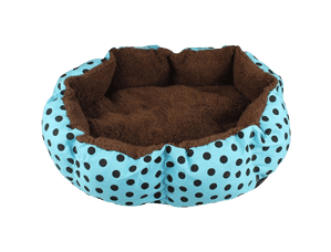 Image with missing alt attribute found on nicequest.com