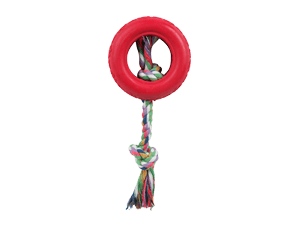 Image with missing alt attribute found on nicequest.com