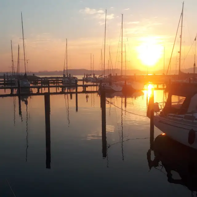 Image with missing alt attribute found on weawow.com