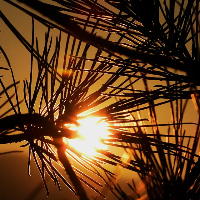 Image with missing alt attribute found on weawow.com