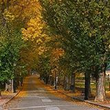 Image with missing alt attribute found on weawow.com