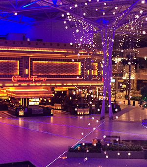 Image with missing alt attribute found on freedocast.com