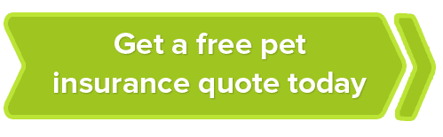 Get a free pet insurance quote