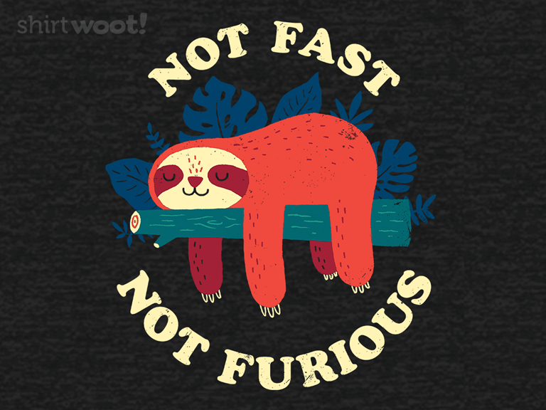 Not Fast, Not Furious Remix