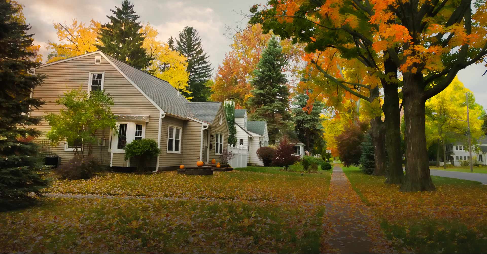 Image with missing alt attribute found on dabr.com