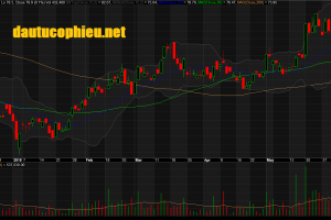 Image with missing alt attribute found on dautucophieu.net