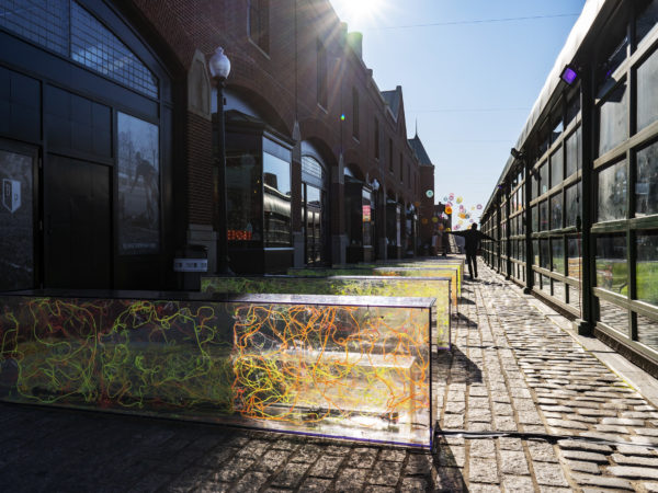 Image with missing alt attribute found on dcist.com