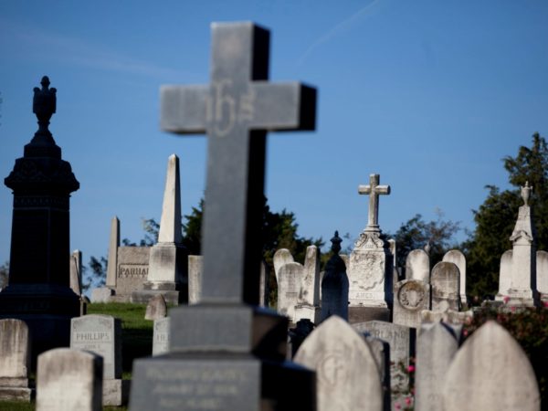 Image with missing alt attribute found on dcist.com