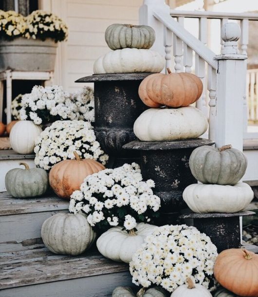 Image with missing alt attribute found on decoholic.org