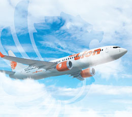 Image with missing alt attribute found on lionairthai.com