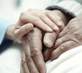 Image with missing alt attribute found on lionairthai.com