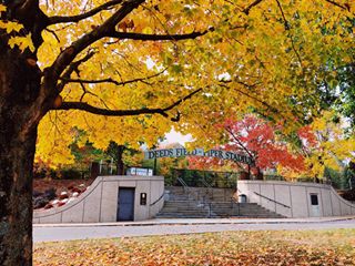 denisonwlax on Instagram: "It was a beautiful day in our neighborhood...how about yours? #DenisonintheFall🍁"