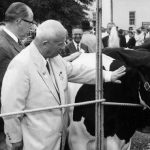 Дойная корова социализма