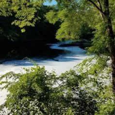 Image with missing alt attribute found on ctmirror.org