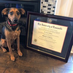 Image with missing alt attribute found on diplomaframe.com