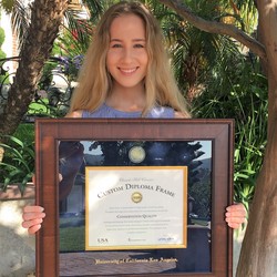 Image with missing alt attribute found on diplomaframe.com