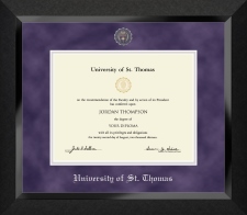 Image with missing alt attribute found on diplomaframe.com