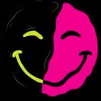 Image with missing alt attribute found on frydcarts.company.site