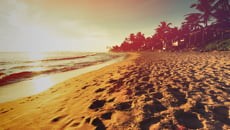 Image with missing alt attribute found on travelrepublic.ie