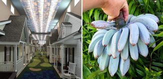 Image with missing alt attribute found on difundir.org