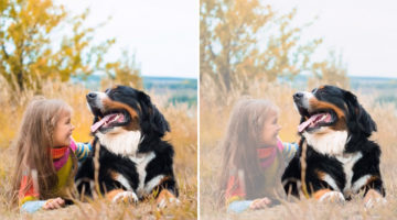 photoshop-object-selection-tool