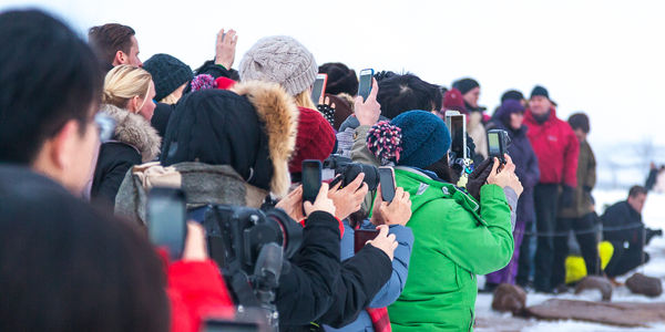 Image with missing alt attribute found on thepetitionsite.com