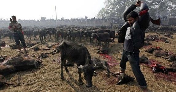 Image with missing alt attribute found on thepetitionsite.com