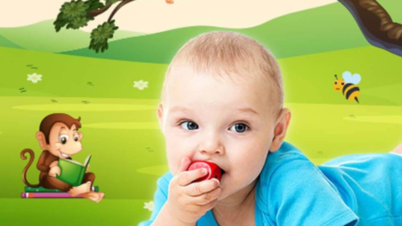 Image with missing alt attribute found on ditindia.com