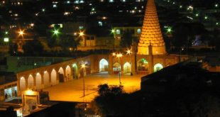 Image with missing alt attribute found on topnaz.com