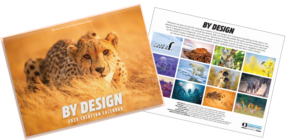 Image with missing alt attribute found on creation.com