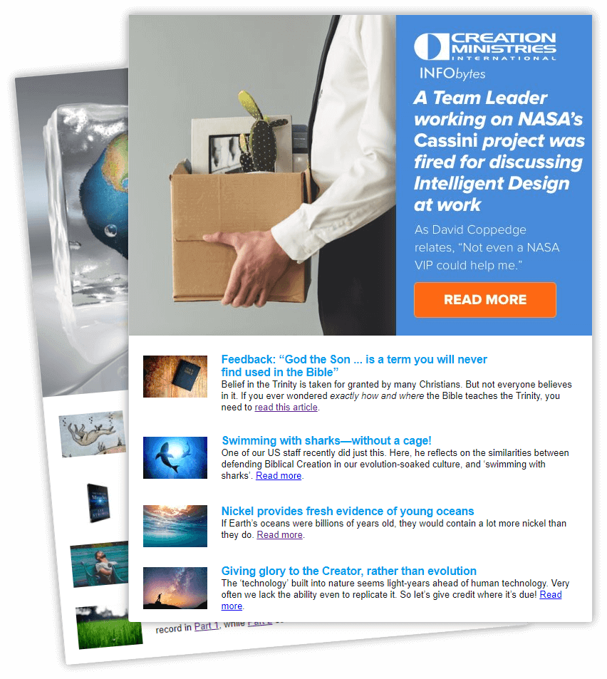 Image with missing alt attribute found on creation.com