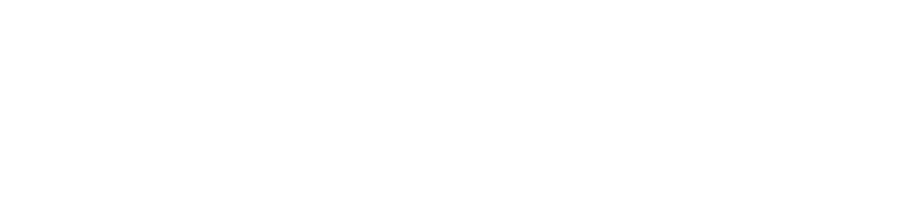 Image with missing alt attribute found on dns.business