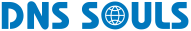 DNS SOULS