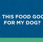 is this food good for my dog