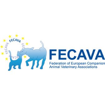 Image with missing alt attribute found on dogwellnet.com