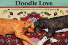 Image with missing alt attribute found on doorcountypulse.com