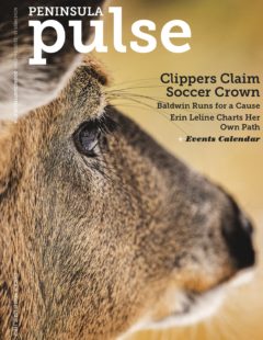 Image with missing alt attribute found on doorcountypulse.com