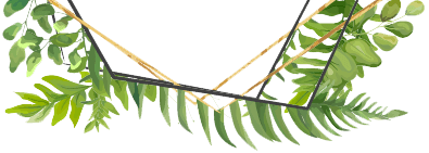 Image with missing alt attribute found on onatera.com