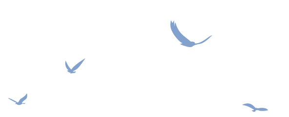 Image with missing alt attribute found on draggo.com