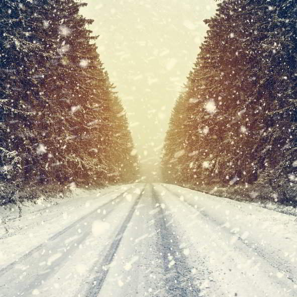 Image with missing alt attribute found on driversed.com