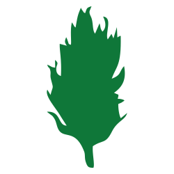 Image with missing alt attribute found on drweed.shop