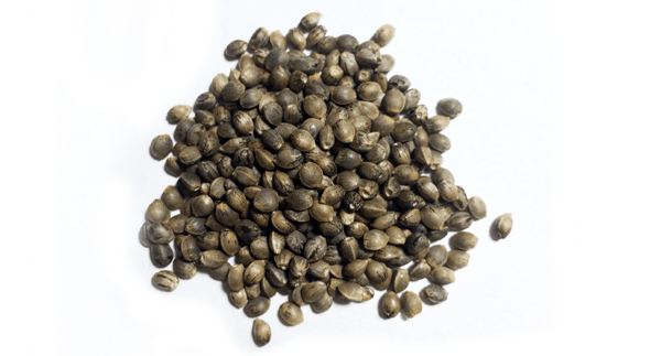 Image with missing alt attribute found on drweed.shop