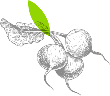 Image with missing alt attribute found on mercato.com