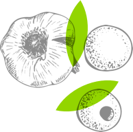 Image with missing alt attribute found on mercato.com