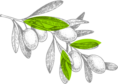 Image with missing alt attribute found on mercato.com