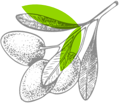 Image with missing alt attribute found on mercato.com