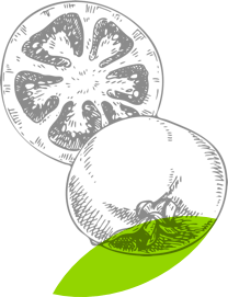 Image with missing alt attribute found on mercato.com