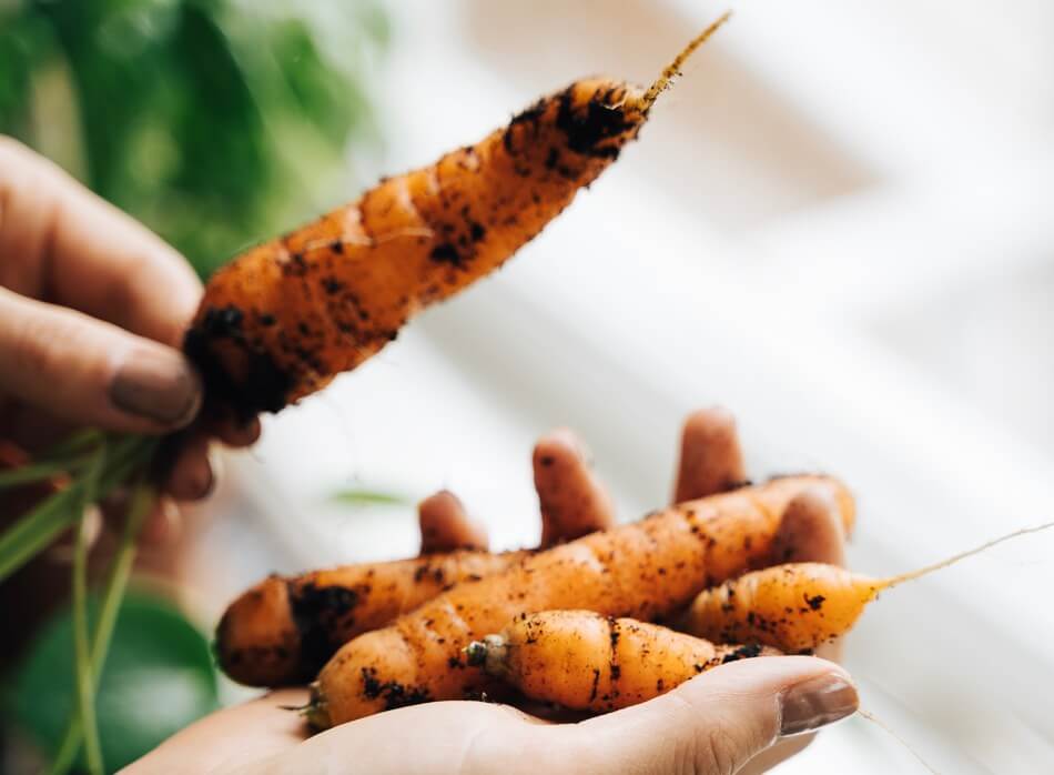 Image with missing alt attribute found on mercato.com